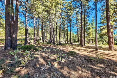 0 Mountain Haven Lane, Reno, NV 89511 - Photo 15