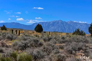 1167 Out-R-Way, Gardnerville, NV 89410 - Photo 1