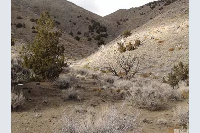 1265 Freds Mountain Road, Reno, NV 89508 - Photo 39