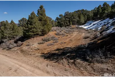 2185 Hermit Road, Virginia City, NV 89521 - Photo 17