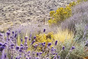 2330 Hillcrest Rd, Fernley, NV 89408 - Photo 35