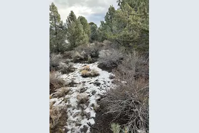 1825 Empire Road, Virginia City, NV 89521 - Photo 1