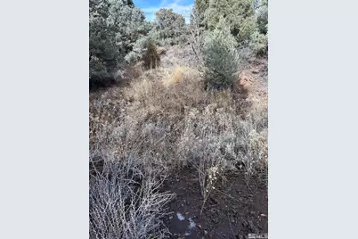 1825 Empire Road, Virginia City, NV 89521 - Photo 3