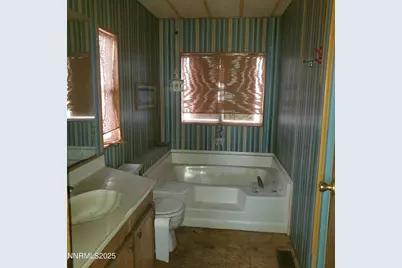 414 Cottonwood Drive, Walker Lake, NV 89415 - Photo 13