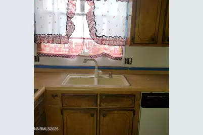 414 Cottonwood Drive, Walker Lake, NV 89415 - Photo 9