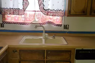 414 Cottonwood Dr, Walker Lake, NV 89415 - Photo 9