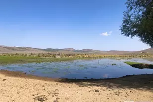 0 Superior Millsite Mine, Austin, NV 89820 - Photo 1