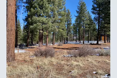 238 Redding Way, Carson City, NV 89705 - Photo 5