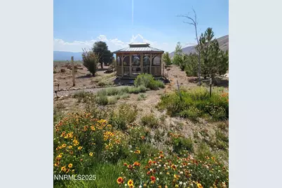 3701 Sr Hwy 208, Wellington, NV 89444 - Photo 11