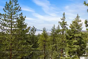 520 Laurel Ln, Stateline, NV 89449 - Photo 27