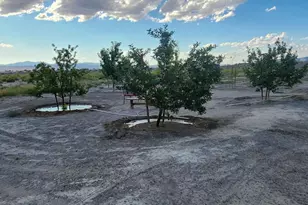 1 Spence Ln, Yerington, NV 89447 - Photo 43