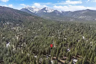 805 Yellow Pine Rd, Reno, NV 89511 - Photo 35