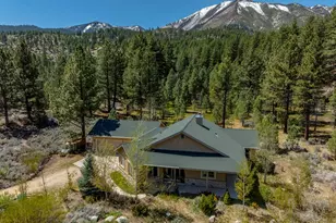 105 Old Mill Pl, Washoe Valley, NV 89704 - Photo 1