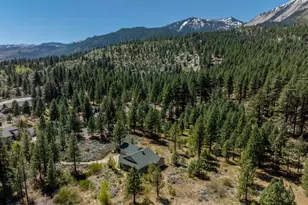 105 Old Mill Pl, Washoe Valley, NV 89704 - Photo 35