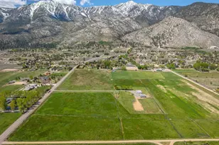 320 Mottsville, Gardnerville, NV 89460 - Photo 41