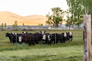 320 Mottsville, Gardnerville, NV 89460 - Photo 45