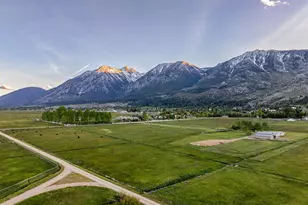 320 Mottsville, Gardnerville, NV 89460 - Photo 49