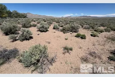 365 Ludwig Lane, Smith, NV 89430 - Photo 5