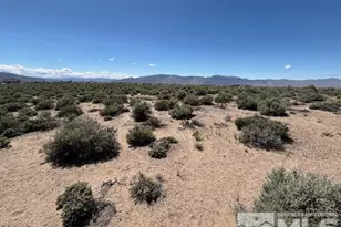 365 Ludwig Ln, Smith, NV 89430 - Photo 1