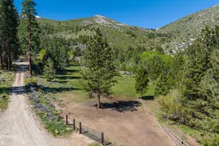 6995 Franktown Rd, Washoe Valley, NV 89704 - Photo 29