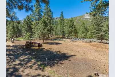6995 Franktown Road, Washoe Valley, NV 89704 - Photo 31