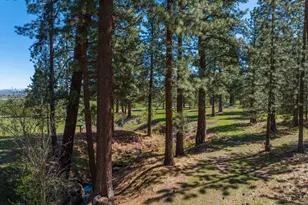 6995 Franktown Rd, Washoe Valley, NV 89704 - Photo 33