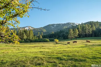 6995 Franktown Road, Washoe Valley, NV 89704 - Photo 23