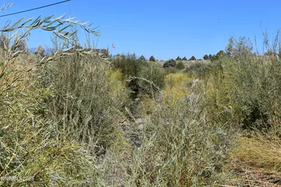 330 Veris Court #1, Gardnerville, NV 89410 - Photo 3