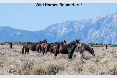 345 Veris Court #2, Gardnerville, NV 89410 - Photo 5