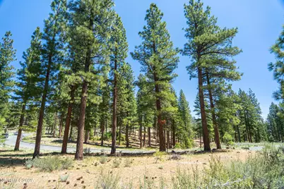 46 Boulders Bnd Drive #117, Carson City, NV 89705 - Photo 3