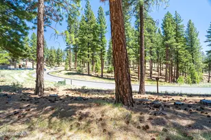 46 Boulders Bnd Dr, Carson City, NV 89705 - Photo 7
