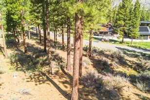 249 Redding Wy, Carson City, NV 89705 - Photo 19