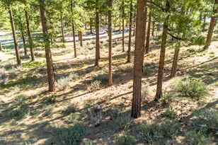 249 Redding Wy, Carson City, NV 89705 - Photo 15