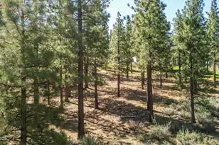 249 Redding Wy, Carson City, NV 89705 - Photo 13