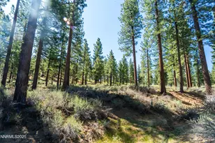 249 Redding Wy, Carson City, NV 89705 - Photo 5