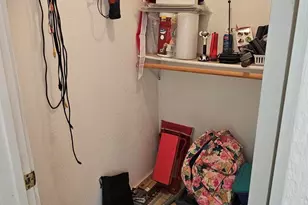 155 James Ct, Kingston, NV 89310 - Photo 43