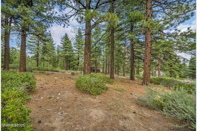 307 E Jeffrey Pine Road #3, Reno, NV 89511 - Photo 7