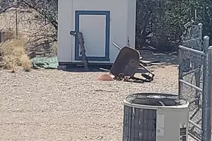 5211 Vanessa Dr, Fallon, NV 89406 - Photo 31