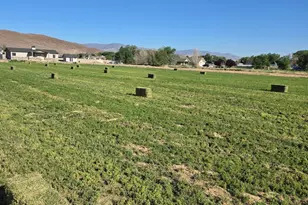 900 Cattle Dr, Fernley, NV 89408 - Photo 19