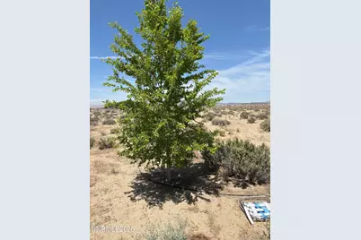 4210 6th Street, Silver Springs, NV 89429 - Photo 11