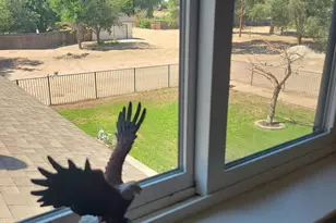 774 Copperwood Dr, Fallon, NV 89406 - Photo 47