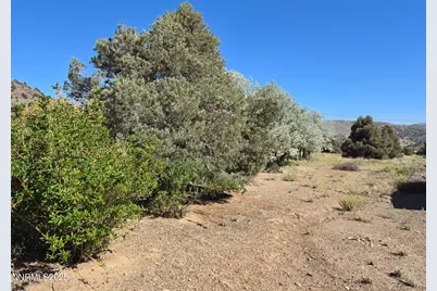 1340 Topaz Ranch Road, Topaz Ranch Estates, NV 89444 - Photo 19