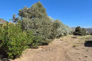 1340 Topaz Ranch Rd, Topaz Ranch Estates, NV 89444 - Photo 19