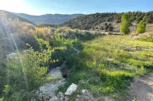 3350 Ikes Cyn Rd, Eureka, NV 89316 - Photo 35