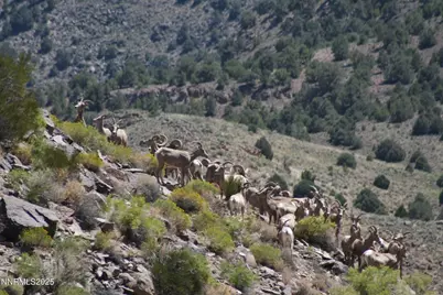 3350 Ike's Canyon Road, Eureka, NV 89316 - Photo 31