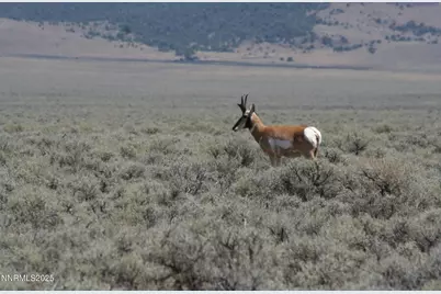 3350 Ike's Canyon Road, Eureka, NV 89316 - Photo 29