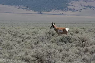 3350 Ikes Cyn Rd, Eureka, NV 89316 - Photo 29