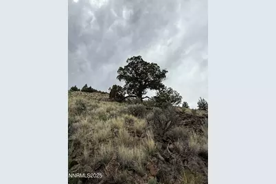 000 Wall Canyon Reservoir Road, Gerlach, NV 89412 - Photo 13