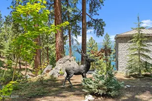 275 Chukkar Dr, Glenbrook, NV 89413 - Photo 23