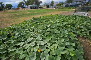 31850 Cantlon Dr, Wadsworth, NV 89442 - Photo 99